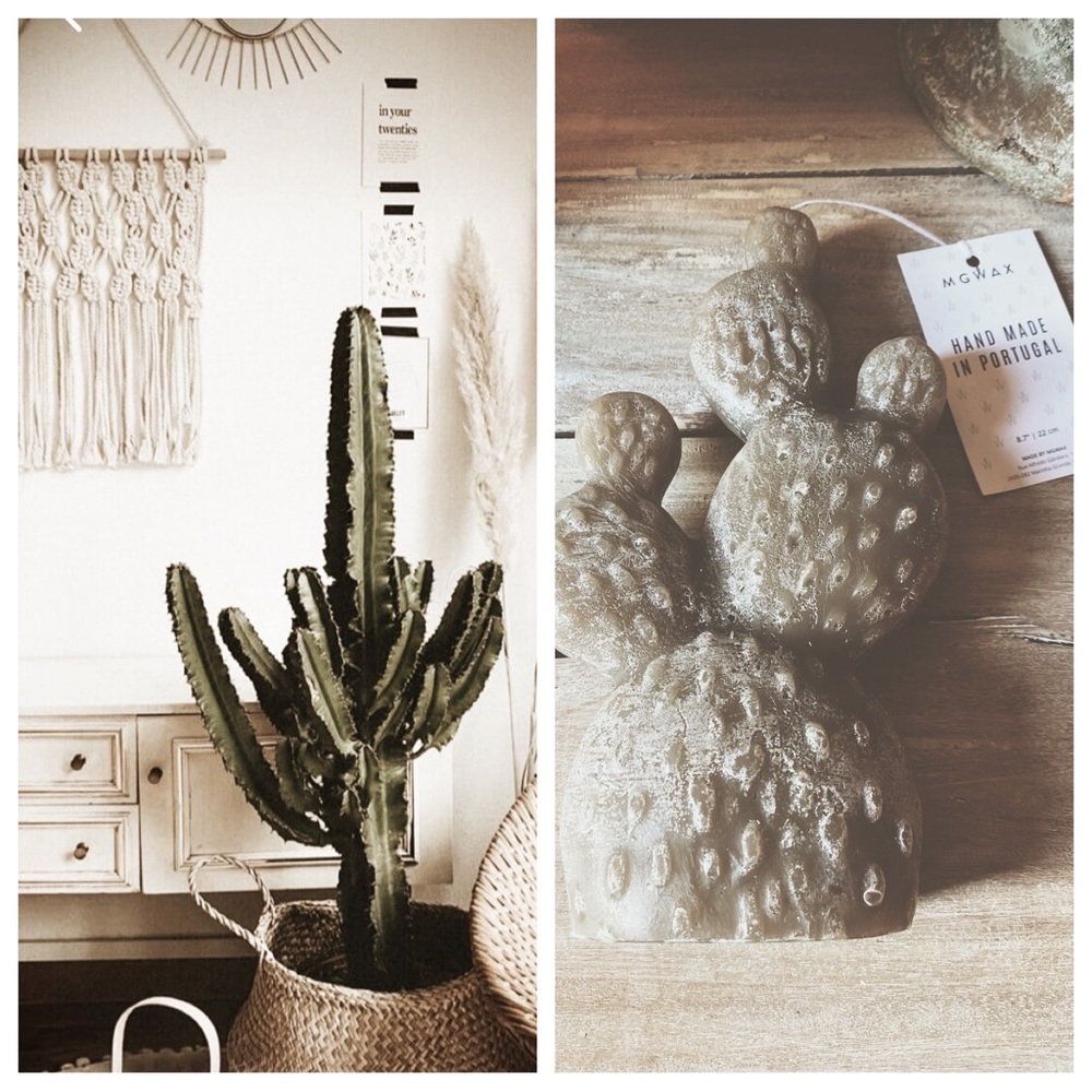 Cactus Candles - Picture 4 of 12